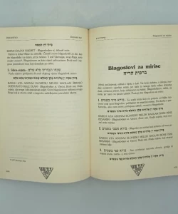 Knjiga Židovstvo: život, teologija i filozofija autor Kotel Da-Don
