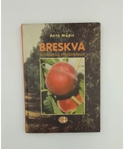 Breskva suvremena proizvodnja
