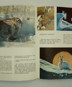 Čudesni svjetovi Walta Disneya I-IV komplet