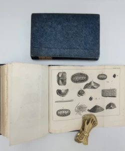 Voyage en Dalmatie I-II