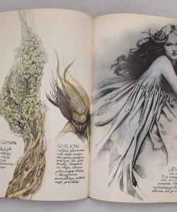 Knjiga Patuljci / Džinovi / Vile i vilenjaci 1-3 autor Brian Froud, Alan Lee