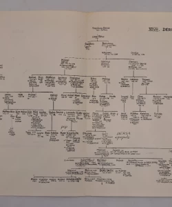 Knjiga Dubrovački patricijat u XIV veku I-II autor Irmgard Manken
