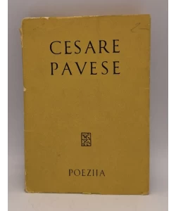 Poezija