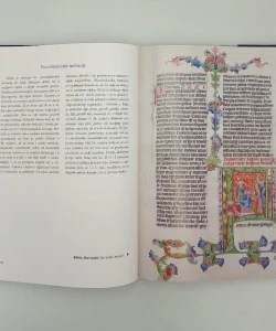 Povijest hrvatskoga jezika 1: srednji vijek