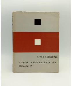 Sistem transcendentalnog idealizma