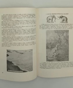 Divovske legende: Divovski svijet prahistorije. Legende o divovima Slavena