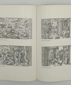 Biblija priprostih