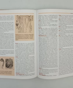 Leksikon europske mitologije autor Otto Holzapfel