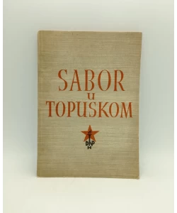 Sabor u Topuskom