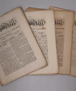 Naše gore list-godište V 1865