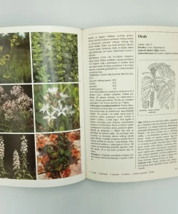 Knjiga Velika knjiga ljekovitog bilja autor Mannfried Pahlow