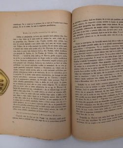 Dva smjera u hrvatskoj politici