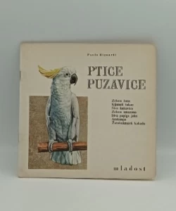 Ptice puzavice