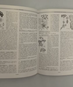 Knjiga Više biljke stablašice autor Nada Hulina