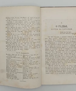 Srpski omladinski kalendar za prostu godinu 1869.