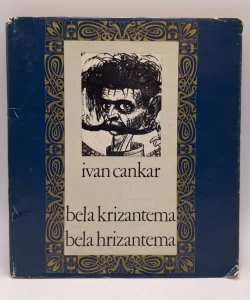Bela krizantema/bela hrizantema