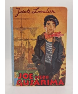 Joe među gusarima