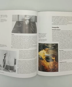 Knjiga Vizualne umjetnosti dvadesetog stoljeća autor Edward Lucie-Smith