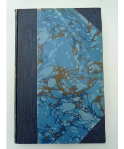 Disegno storico della citta di Fiume