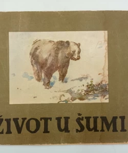 Život u šumi