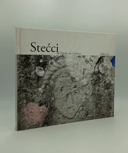 Stećci - od Zgošće do Ledinca