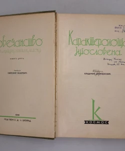 Knjiga Karakterologija Jugoslavena autor Vladimir Dvorniković