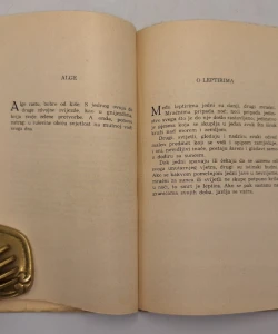 Kornjača i drugi predjeli