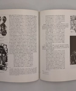 Modernizam / avangarda: ogledi o međuratnom modernizmu i istorijskim avangardama na jugoslavenskom umetničkom prostoru