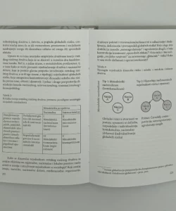 Knjiga Svetsko rizično društvo: u potrazi za izgubljenom sigurnošću autora Ulricha Becka.