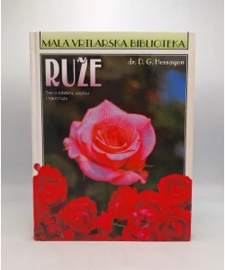 Ruže