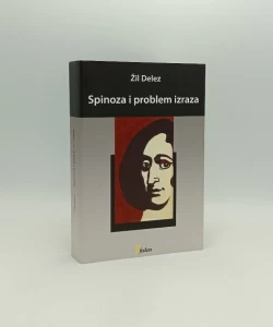 Spinoza i problem izraza