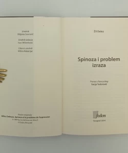 Spinoza i problem izraza