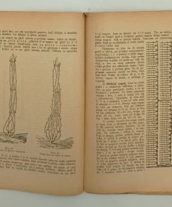 Vinogradarstvo i pivničarstvo