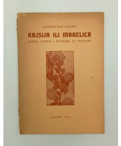 Kajsija ili marelica