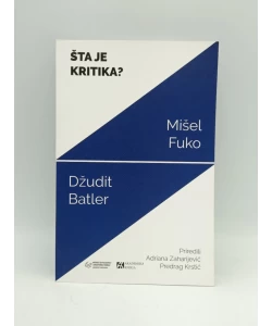 Šta je kritika?