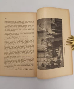 Knjiga Jamnička kiselica autor Fran Gundrum