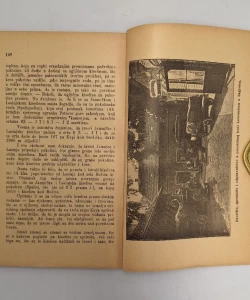 Knjiga Jamnička kiselica autor Fran Gundrum