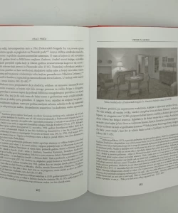 Knjiga Pisac i priča autor Žaneta Đukić Perišić