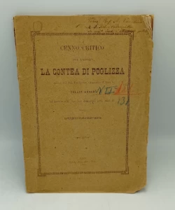 La contea di Poglizza