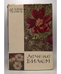 Lečenje biljem