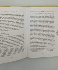 Kako je filozofija govorila arapski