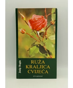 Ruža kraljica cvijeća