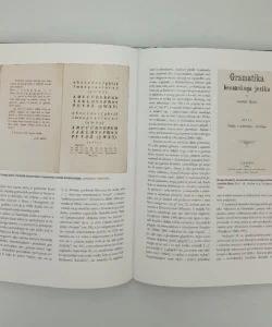 Povijest hrvatskog jezika 4. knjiga: 19. stoljeće