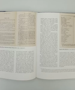 Povijest hrvatskog jezika 4. knjiga: 19. stoljeće