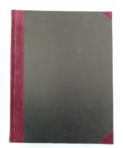 Brzopisna izvješća XXXII zasjedanja pokrajinskog sabora dalmatinskog