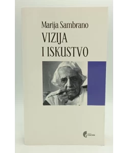 Vizija i iskustvo