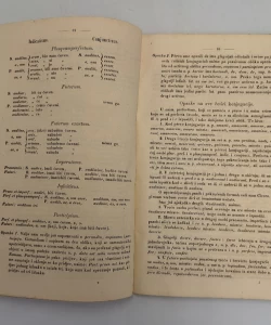 Slovnica jezika latinskoga ilirski iztumačena za porabu mladeži bosanske