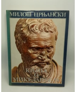 Knjiga o Mikelanđelu