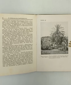 Die Pflanzwelt Dalmatiens