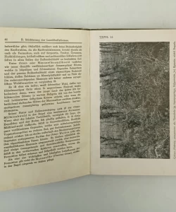 Die Pflanzwelt Dalmatiens